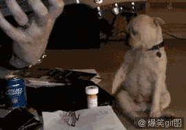 嗨起来