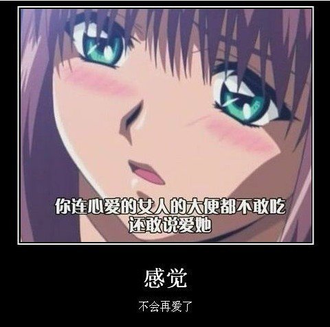 感觉不会再爱了