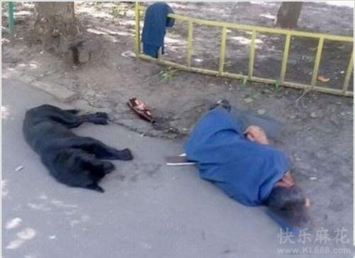 难兄难弟啊