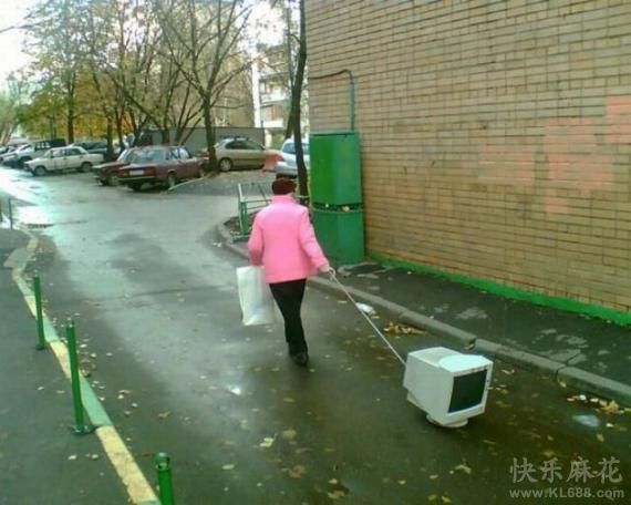 见过遛宠物的没见过遛电脑的