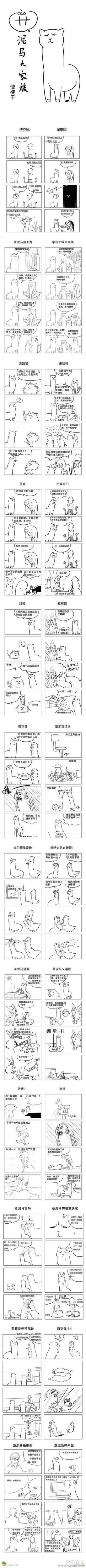 坚持看完。。