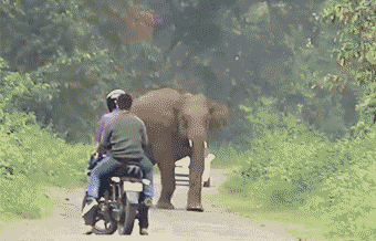 狭路相逢