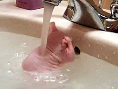 搓个澡