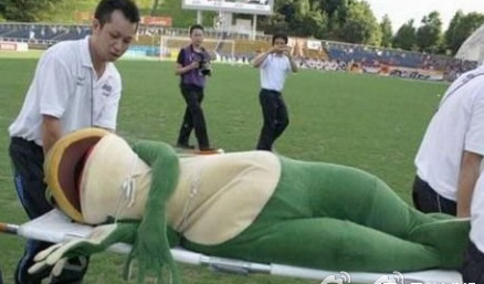 这只青蛙热得晕了过去