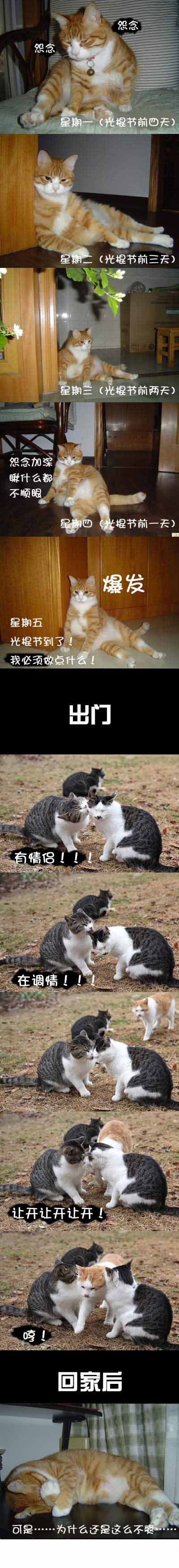 光棍节一周表情图