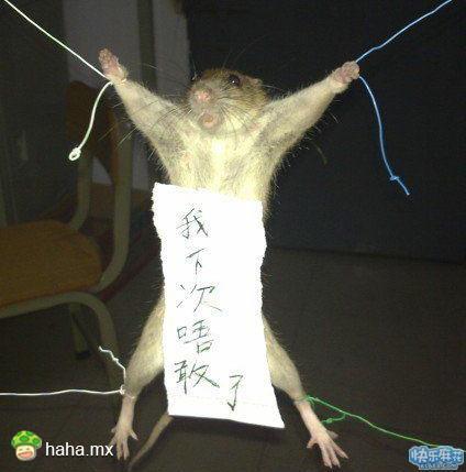 看你以后还敢不敢