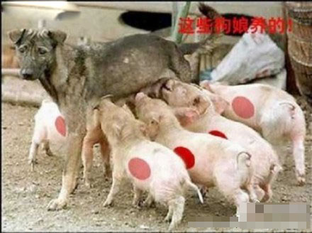 有奶便是娘
