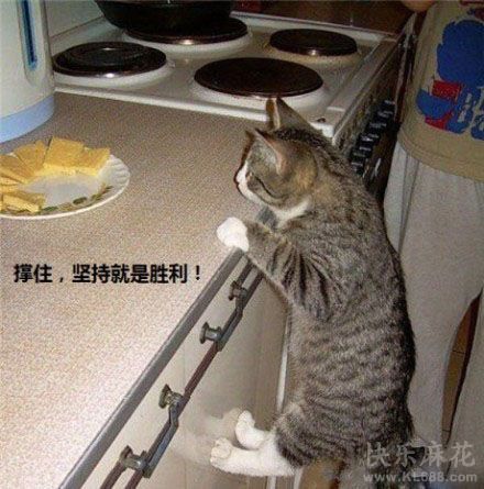 坚持就是胜利