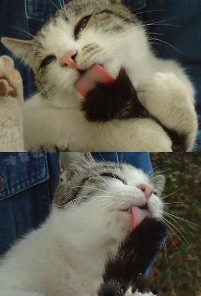 自我陶醉
