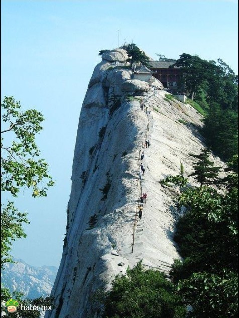 分享图片