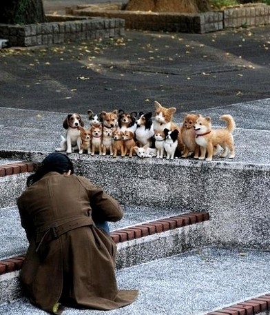 合影