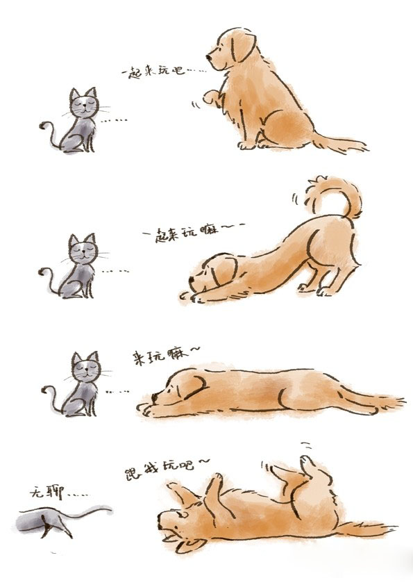 狗狗的诱惑不顶用