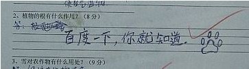 这个答案太强了，而且居然还对了