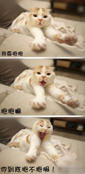 抱抱老子会死啊！