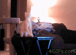 oh，shit！