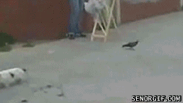 当希望破灭后