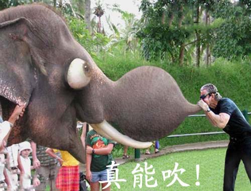 真能吹啊