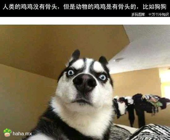 分享图片