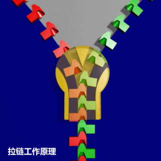 拉链的原理