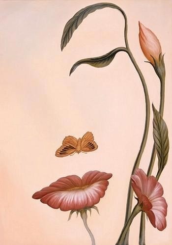 容易蒙骗所有人的眼睛的图画