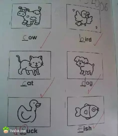 那些逆天的小学生，长大后都是人才