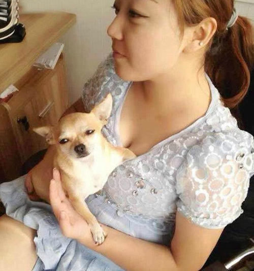 手感如何？小狗狗