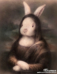 梦娜兔子