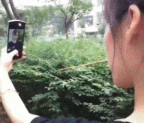 我就不说啥了