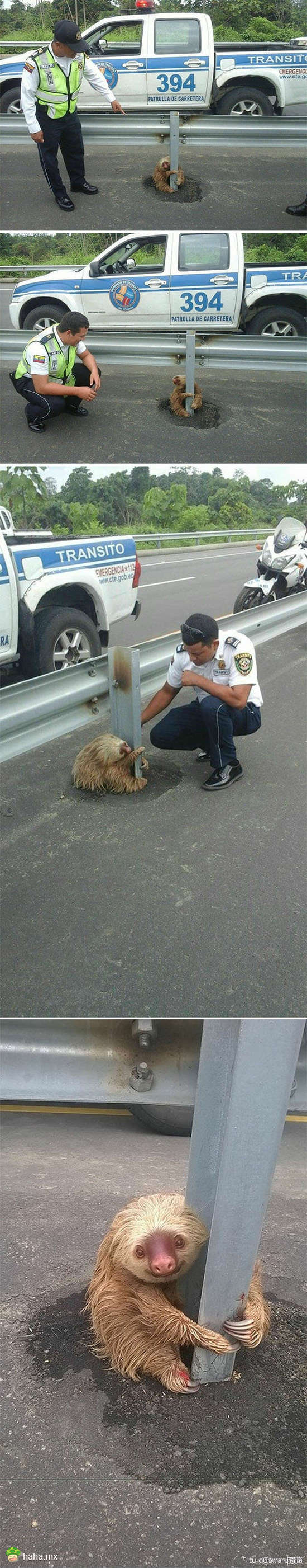 我要回家