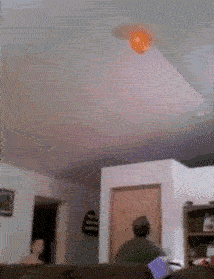 我真是日了猫了