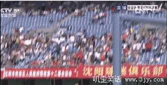 一群猪在踢球