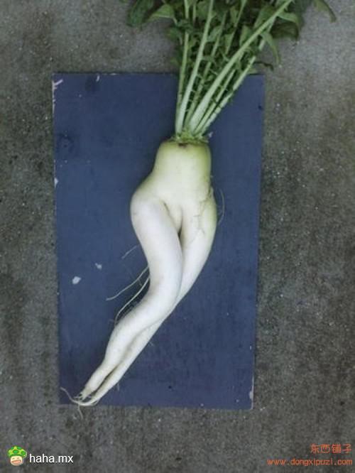 好内涵的蔬菜