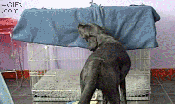 拿条被子睡觉