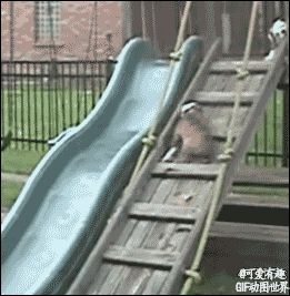 玩嗨了