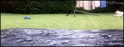 飘过