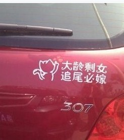 这个女车主好强大哟