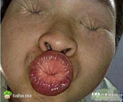 三朵菊花，中间那朵是被艹肿的么？