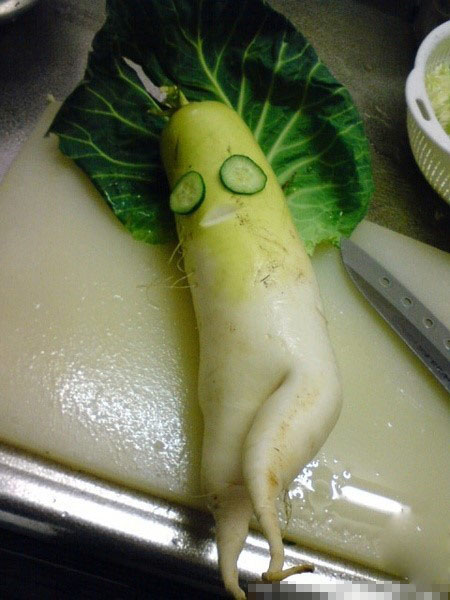 我怎么突然感觉切萝卜也好残忍！
