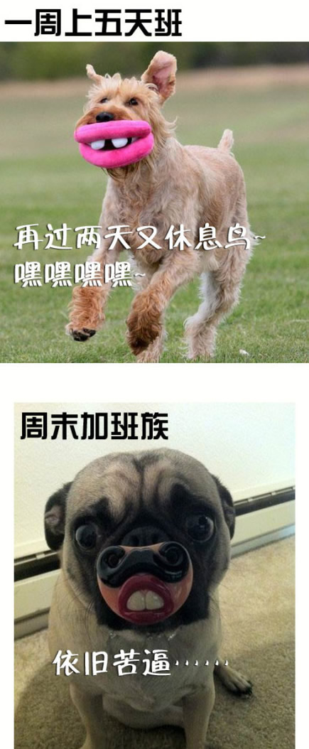 周三啦！周三啦