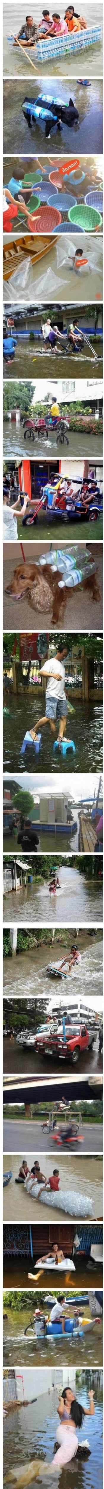 水灾中的人民智慧