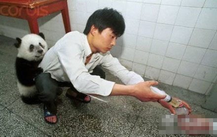 我不要打针啊！