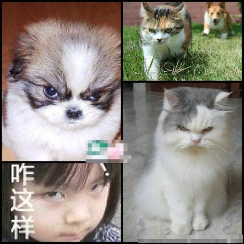 不管是谁家孩子，生气时的表情都是一样滴