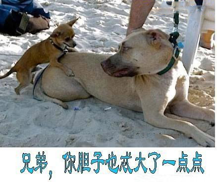 小兄弟，你胆子也忒大了