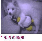 这回腾讯可是遭惨了