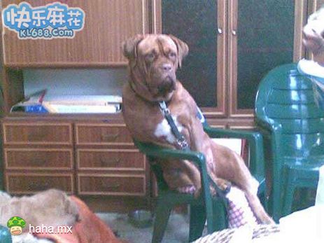 分享图片