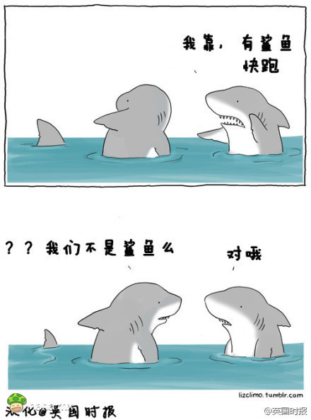 有鲨鱼，快跑