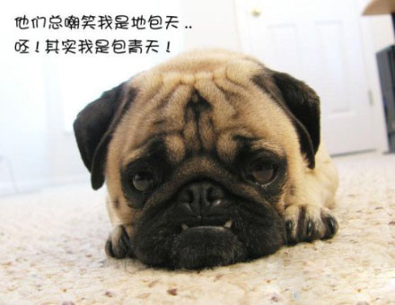 他们都说我丑，你觉得呢？