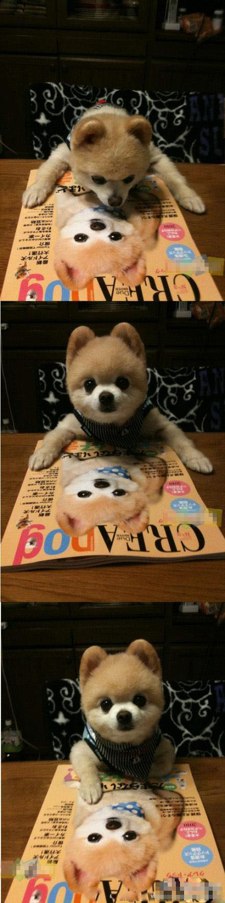 咦，这书上画的不是我吗