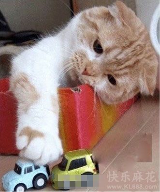 无聊的时候都是这个状态
