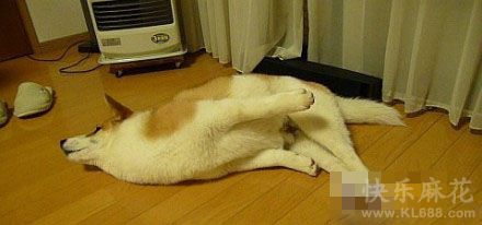 这懒腰伸得真带劲